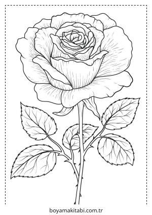 Gül boyama sayfası – renkli çizimler, okul öncesi