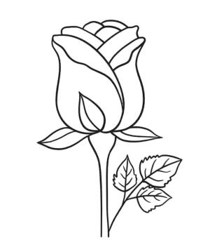 Gül boyama sayfası,  coloring page, Büyük Gül, 