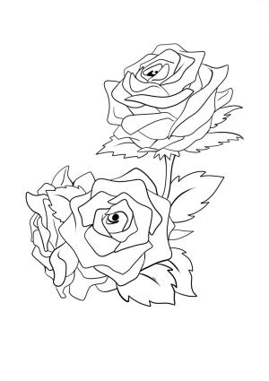 Gül boyama sayfası,  coloring page, Inanılmaz Gül, 