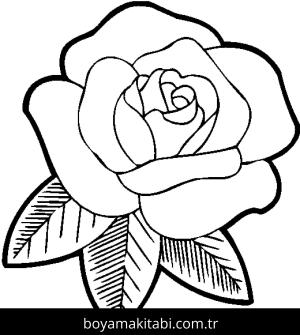 Gül boyama sayfası – yaratıcılığı geliştirir, keyifli zaman