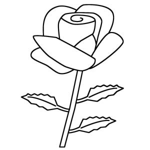 Gül boyama sayfası,  coloring page, Kolay Gül, 