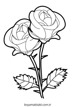 Gül boyama sayfası – renkli çizimler, okul öncesi