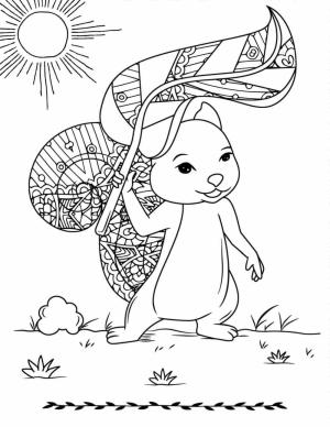 Güneş boyama sayfası,  coloring page, Güneş ışığında Sincaplar, 