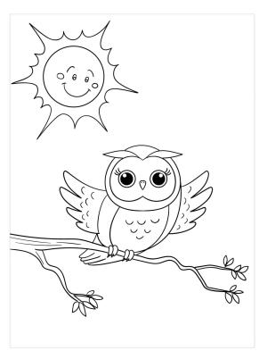 Güneş boyama sayfası,  coloring page, Baykuş ve Güneş, 