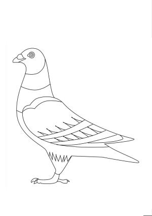 Güvercin boyama sayfası,  coloring page, güvercin ücretsiz Görüntüler, 