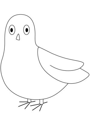 Güvercin boyama sayfası,  coloring page, Çok Güzel Güvercin, 