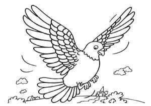 Güvercin boyama sayfası,  coloring page, Güvercin Uçan, 