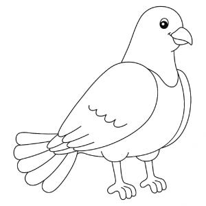 Güvercin boyama sayfası,  coloring page, Gülümseyen Güvercin, 