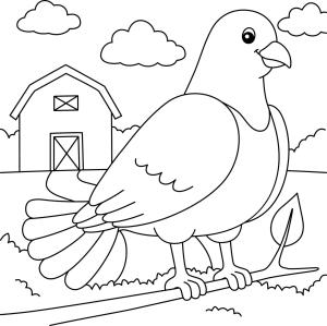 Güvercin boyama sayfası,  coloring page, Dal Ağaç ve çiftlik üzerinde Duran Güvercin, 