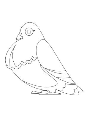 Güvercin boyama sayfası,  coloring page, Güvercin ücretsiz Fikir, 