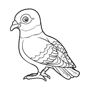 Güvercin boyama sayfası,  coloring page, Küçük Güvercin, 