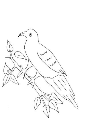 Güvercin boyama sayfası,  coloring page, Dal Ağacındaki Temel Güvercin, 