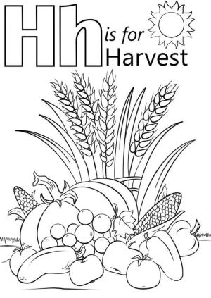 H Harfi boyama sayfası,  coloring page, Hasat Harfi H, 