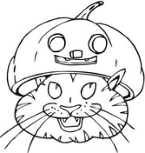 Halloween boyama sayfası,  coloring page, Kabak Şapkalı Kedi, 