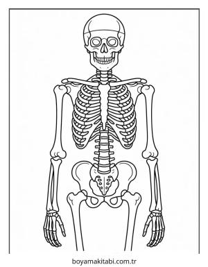 Halloween boyama sayfası – eğlenceli etkinlik, el becerilerini geliştirir