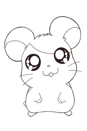 Hamster boyama sayfası,  coloring page, kawaii Hamsteri, 