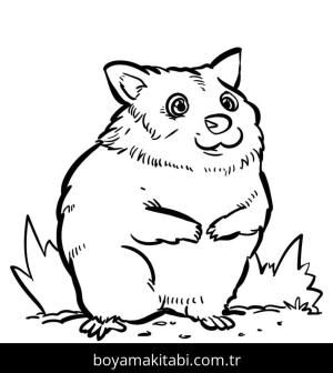 Hamster boyama sayfası – sevimli karakter, sanatsal çalışma