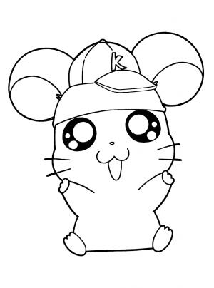 Hamster boyama sayfası,  coloring page, şapkalı Hamster, 