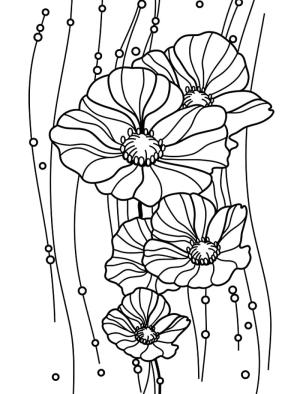 Haşhaş boyama sayfası,  coloring page, Haşhaş Çok Ücretsiz, 