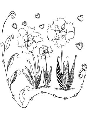 Haşhaş boyama sayfası,  coloring page, Haşhaş Baskı, 