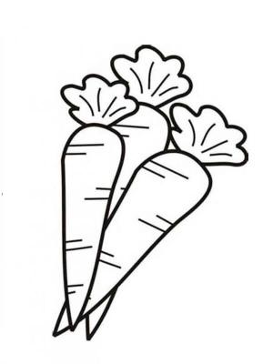 Havuç boyama sayfası,  coloring page, Üç Havuç, 