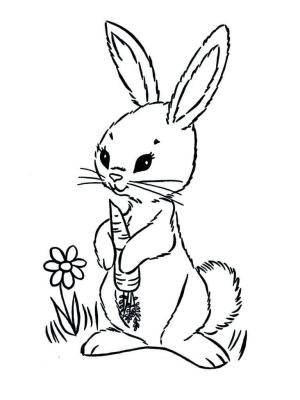 Havuç boyama sayfası,  coloring page, Havuçlu Tavşan, 