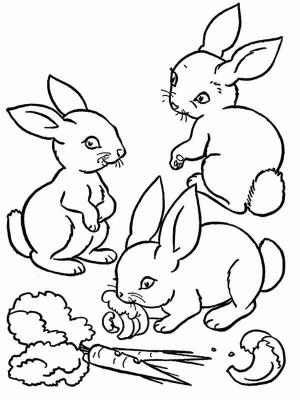 Havuç boyama sayfası,  coloring page, Havuçlu Üç Tavşan, 