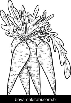 Havuç boyama sayfası – evde etkinlik, ücretsiz yazdır