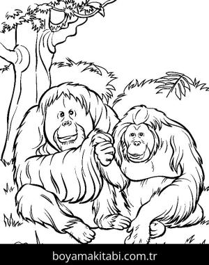 Hayvanat Bahçesi boyama sayfası,  coloring page, , Orangatan In Zoo