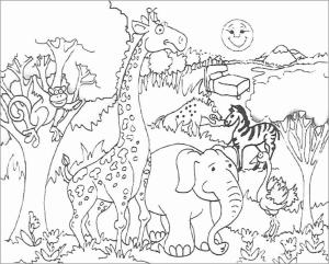 Hayvanat Bahçesi boyama sayfası,  coloring page, Güzel Hayvanat Bahçesi, 