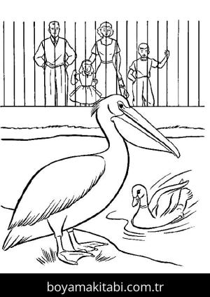 Hayvanat Bahçesi boyama sayfası,  coloring page, , Pelican And Duck In Zoo