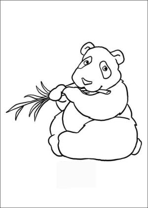 Hayvanat Bahçesi boyama sayfası,  coloring page, Hayvanat Bahçesindeki Panda, 