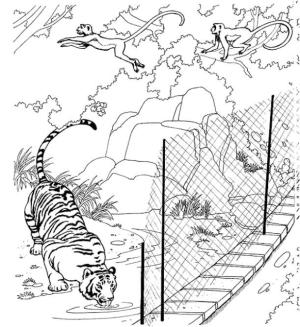 Hayvanat Bahçesi boyama sayfası,  coloring page, Sevimli Hayvanat Bahçesi, 