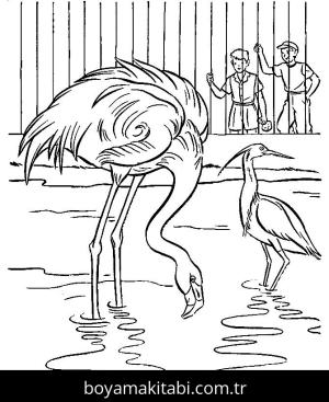 Hayvanat Bahçesi boyama sayfası,  coloring page, , Flamingo Zoo Animals