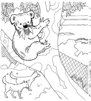 Hayvanat Bahçesi boyama sayfası,  coloring page, Hayvanat Bahçesinde Koala ve İki Köpek, 