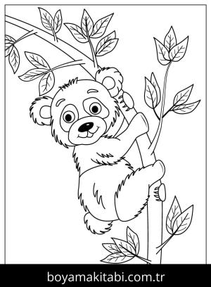 Hayvanat Bahçesi boyama sayfası,  coloring page, , Funny Panda On A Branch