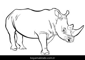 Hayvanlar boyama sayfası,  coloring page, , Realistic Rhinoceros
