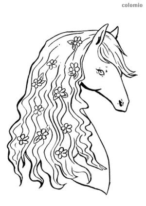 Hayvanlar boyama sayfası,  coloring page, Atış, 