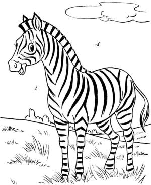 Hayvanlar boyama sayfası,  coloring page, Çizgili, neşeli zebra, 