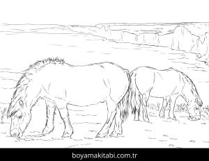 Hayvanlar boyama sayfası,  coloring page, , Two Ponies Grazing