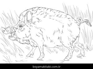 Hayvanlar boyama sayfası,  coloring page, , Big Wild Boar