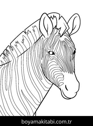 Hayvanlar boyama sayfası,  coloring page, , Zebra Animal