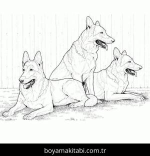 Hayvanlar boyama sayfası,  coloring page, , Realistic German Shepherds