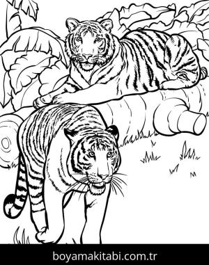 Hayvanlar boyama sayfası,  coloring page, , Realistic Tigers