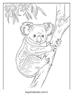 Hayvanlar boyama sayfası – çocuk aktivitesi, PDF indir