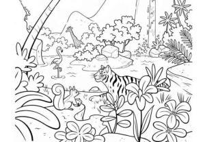 Hayvanlar boyama sayfası,  coloring page, Orman vahşi yaşamı, 