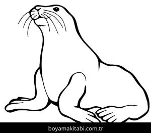 Hayvanlar boyama sayfası,  coloring page, , Realistic Sea Lion