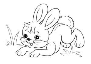 Hayvanlar boyama sayfası,  coloring page, Bunny., 