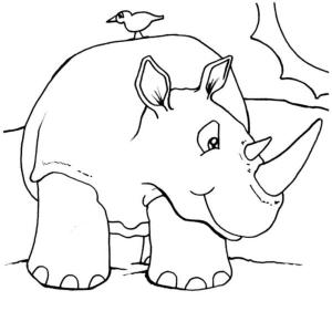 Hayvanlar boyama sayfası,  coloring page, Nazik gergedan, 