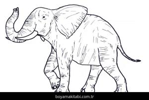 Hayvanlar boyama sayfası,  coloring page, , Realistic Elephant